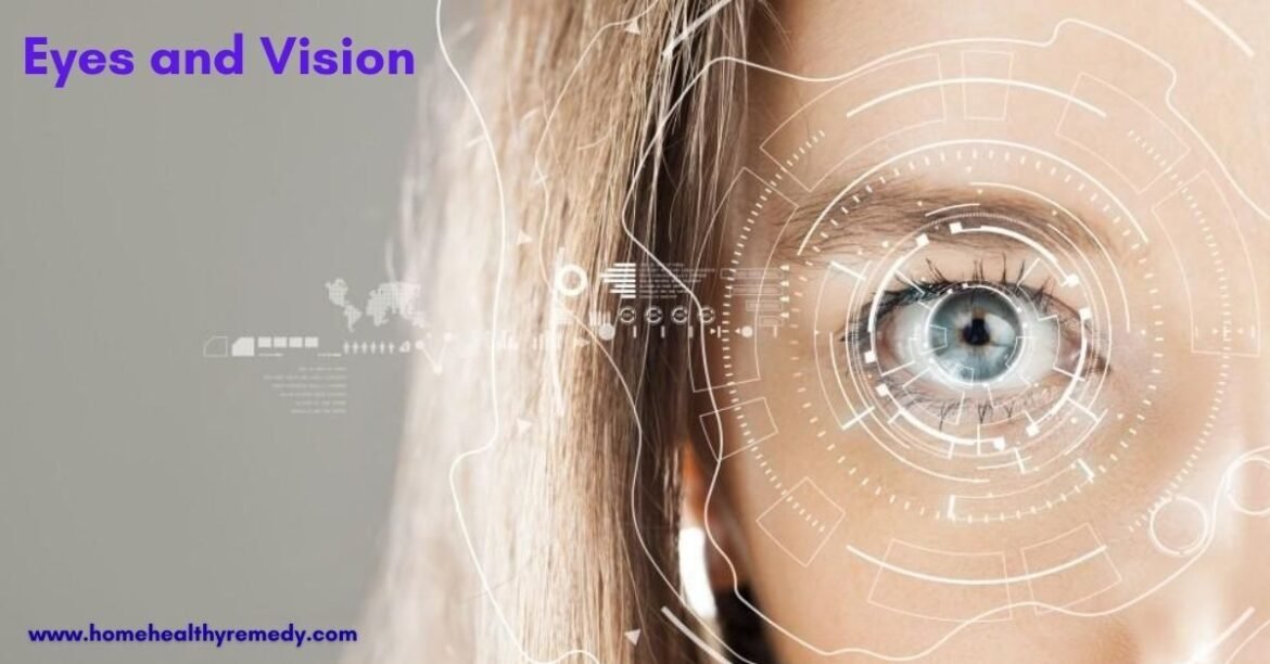 Eyes and Vision