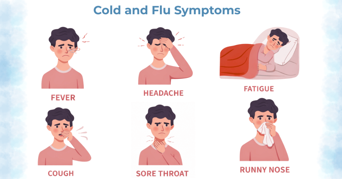 Cold and Flu: A Friendly Guide to Symptoms, Prevention, and Care