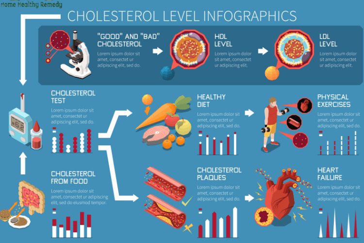 Understand Your High Cholesterol Levels
