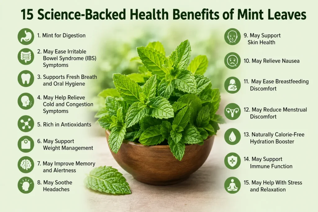 15 Science-Backed Health Benefits of Mint Leaves
